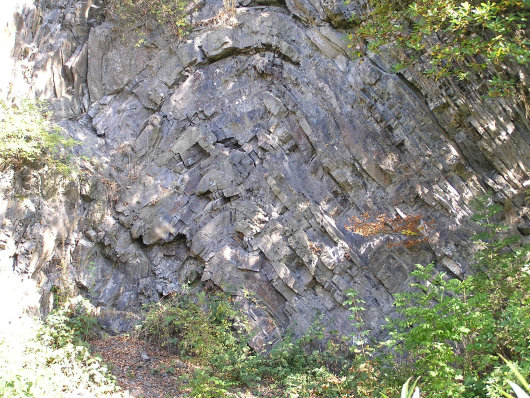 Steinbruch "Am Vitsenböhl". Sehr schön ist hier die Gesteinsfaltung zu sehen.